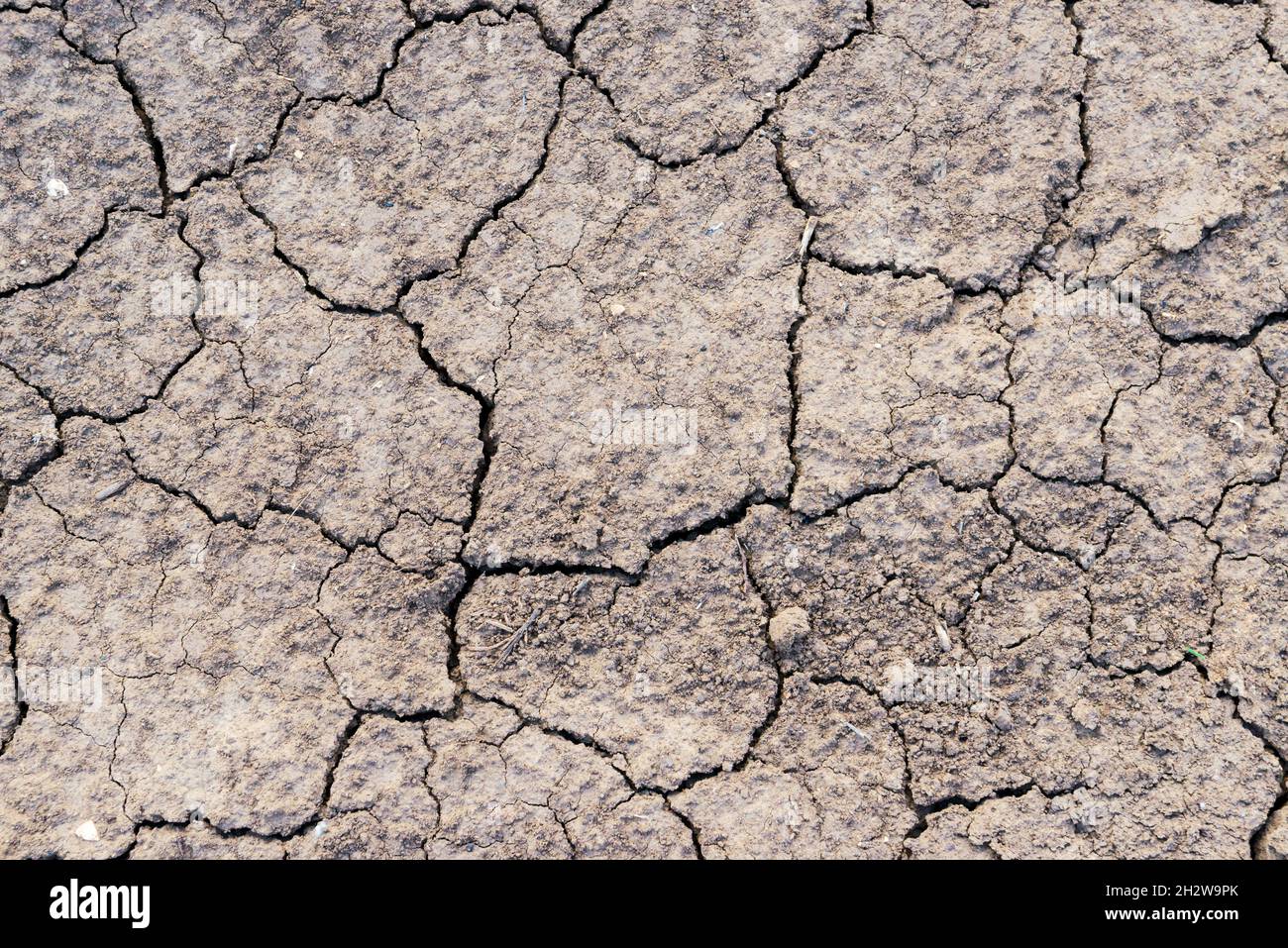 Gerissene Erde Textur des Bodens, gebrochene und raue Oberfläche grauen Lehmboden in der Sommersaison, gerissene Erdgeschoss auf Dürre Umgebung und ho Stockfoto