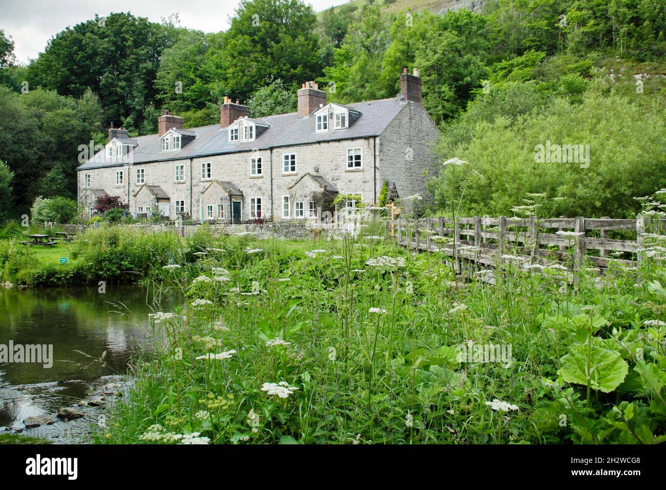 Blackwell Mill Cottages am Fluss Wye, Upper Wye Valley in der Nähe von Buxton, Peak District, Derbyshire, England, Großbritannien. Stockfoto