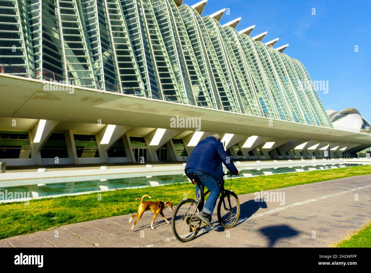 City Bike Europe Valencia Spanien Radfahrer mit Hund auf einem Radweg Stockfoto
