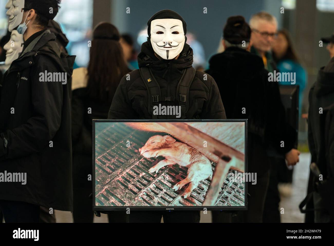 Ein Mitglied der globalen Tierrechtsorganisation Anonymous for the Voiceless während einer Veranstaltung zur Öffentlichkeitsarbeit zum Cube of Truth auf der Market Street in Manchester. Die Mitglieder halten Bildschirme mit „Standardmaterial“ aus der Tierhaltung, während andere Teilnehmer zur Verfügung stehen, um sich mit den Mitgliedern der Öffentlichkeit in Gesprächen zu engagieren. Bilddatum: Sonntag, 24. Oktober 2021. Stockfoto
