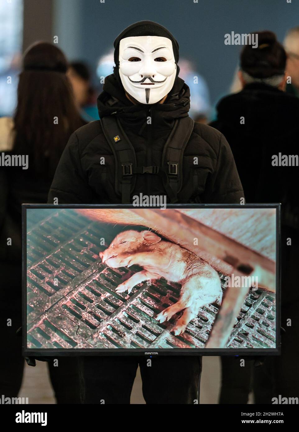 Ein Mitglied der globalen Tierrechtsorganisation Anonymous for the Voiceless während einer Veranstaltung zur Öffentlichkeitsarbeit zum Cube of Truth auf der Market Street in Manchester. Die Mitglieder halten Bildschirme mit „Standardmaterial“ aus der Tierhaltung, während andere Teilnehmer zur Verfügung stehen, um sich mit den Mitgliedern der Öffentlichkeit in Gesprächen zu engagieren. Bilddatum: Sonntag, 24. Oktober 2021. Stockfoto