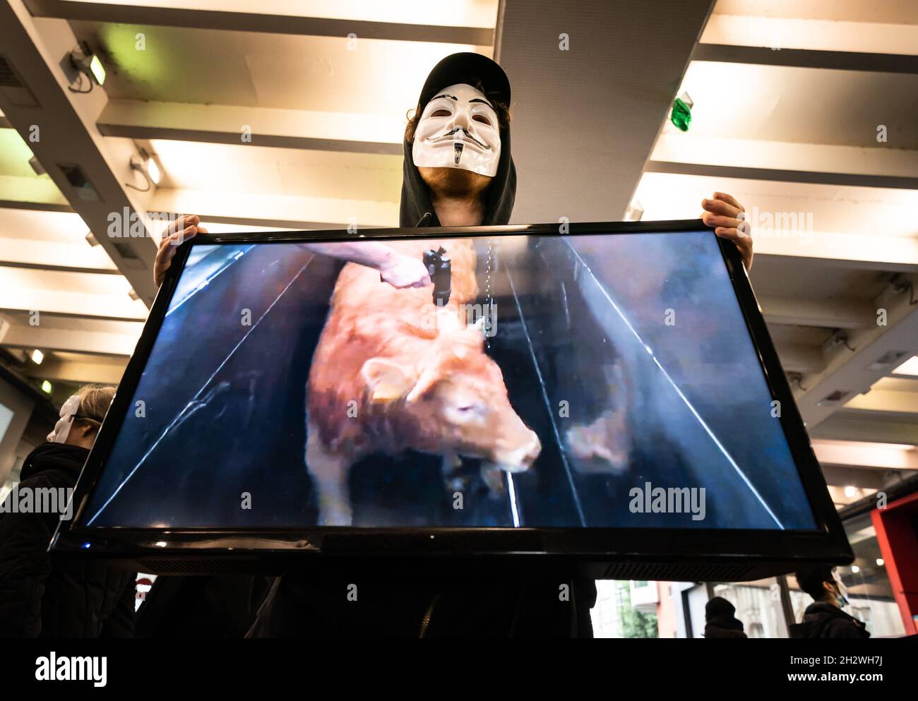 Ein Mitglied der globalen Tierrechtsorganisation Anonymous for the Voiceless während einer Veranstaltung zur Öffentlichkeitsarbeit zum Cube of Truth auf der Market Street in Manchester. Die Mitglieder halten Bildschirme mit „Standardmaterial“ aus der Tierhaltung, während andere Teilnehmer zur Verfügung stehen, um sich mit den Mitgliedern der Öffentlichkeit in Gesprächen zu engagieren. Bilddatum: Sonntag, 24. Oktober 2021. Stockfoto