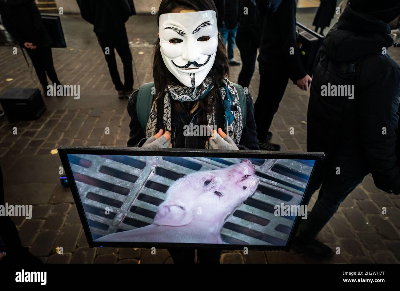 Ein Mitglied der globalen Tierrechtsorganisation Anonymous for the Voiceless während einer Veranstaltung zur Öffentlichkeitsarbeit zum Cube of Truth auf der Market Street in Manchester. Die Mitglieder halten Bildschirme mit „Standardmaterial“ aus der Tierhaltung, während andere Teilnehmer zur Verfügung stehen, um sich mit den Mitgliedern der Öffentlichkeit in Gesprächen zu engagieren. Bilddatum: Sonntag, 24. Oktober 2021. Stockfoto