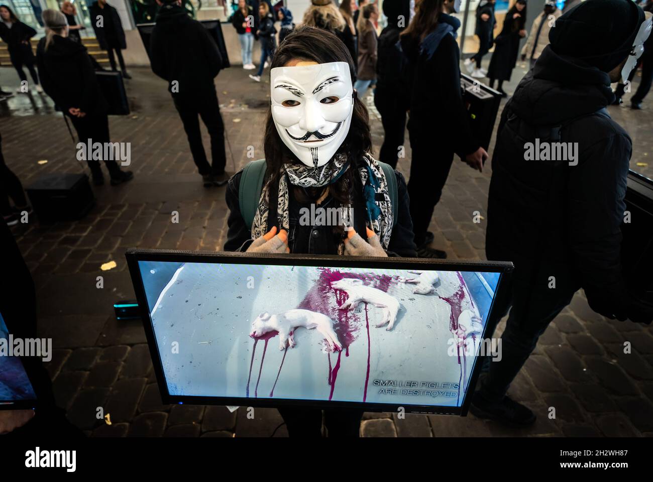 Ein Mitglied der globalen Tierrechtsorganisation Anonymous for the Voiceless während einer Veranstaltung zur Öffentlichkeitsarbeit zum Cube of Truth auf der Market Street in Manchester. Die Mitglieder halten Bildschirme mit „Standardmaterial“ aus der Tierhaltung, während andere Teilnehmer zur Verfügung stehen, um sich mit den Mitgliedern der Öffentlichkeit in Gesprächen zu engagieren. Bilddatum: Sonntag, 24. Oktober 2021. Stockfoto