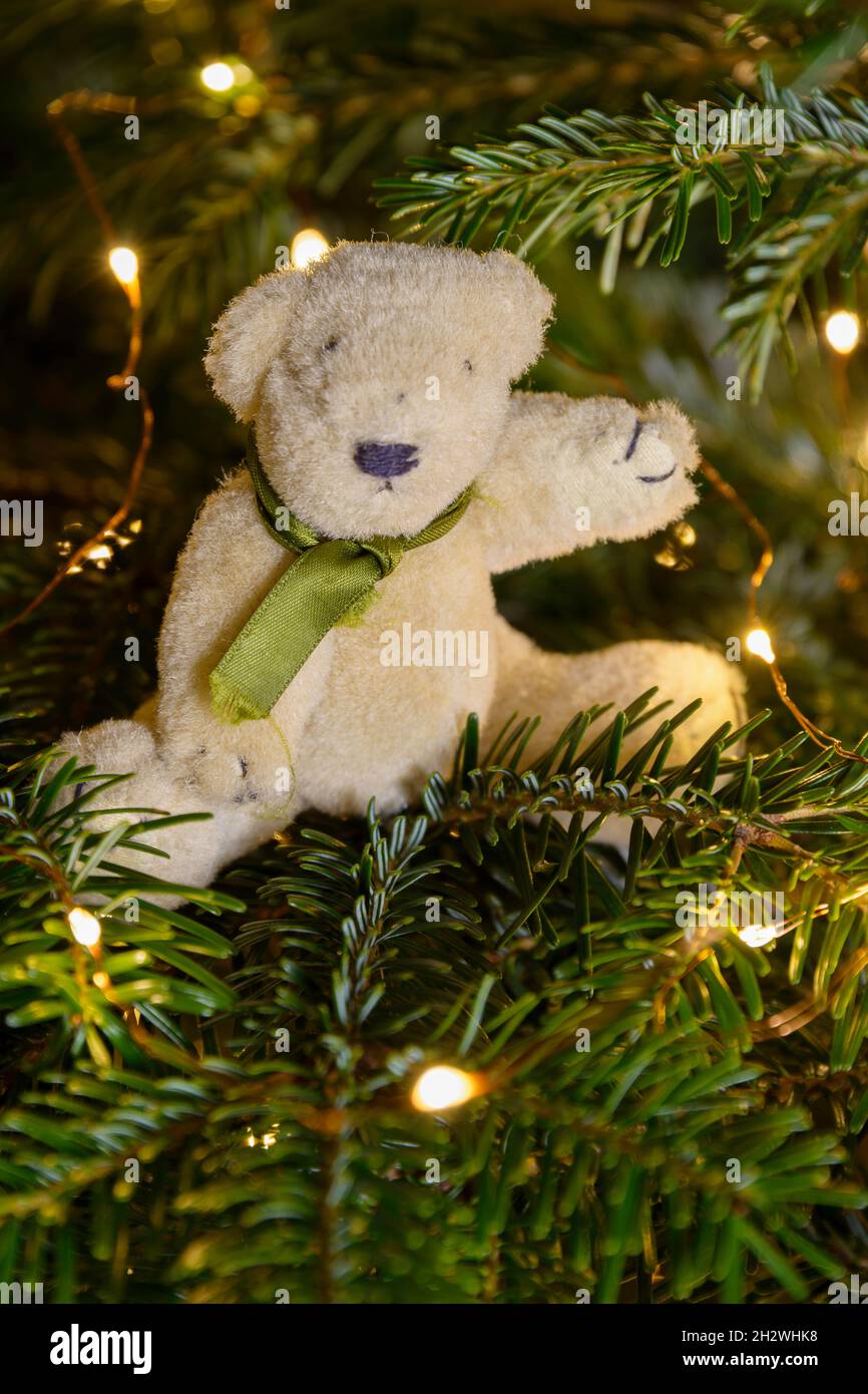 Weihnachtsbaum Dekoration Fred Bär Stockfoto