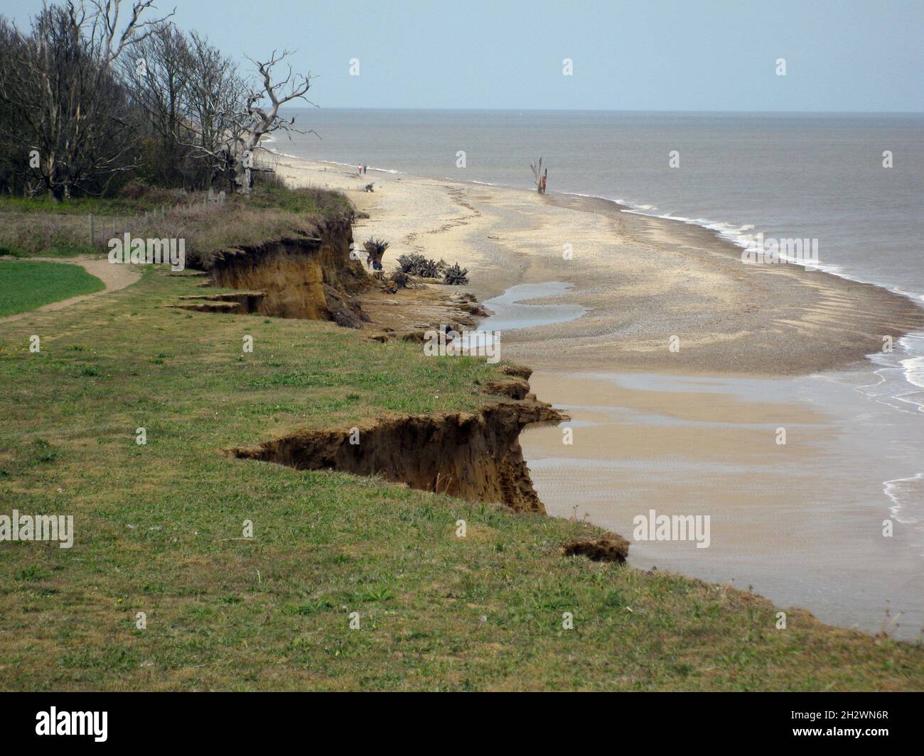 Covehithe in Suffolk: Küstenerosion durch steigenden Meeresspiegel. Stockfoto