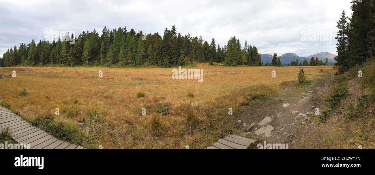 Breites Panoramabild einer Moorlandschaft in der Steiermark, Österreich Stockfoto