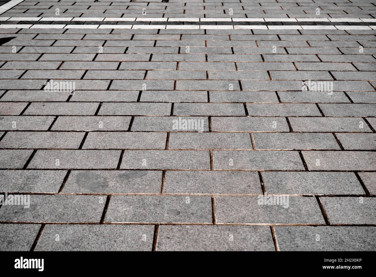 Moderne Fliesen und Kopfsteinpflaster Weg, Pflastersteine und weißen Straßenlinien in der Nähe des Stadtparks für Fußgänger Weg aus Betonstein Erdgeschoss draußen gemacht Stockfoto