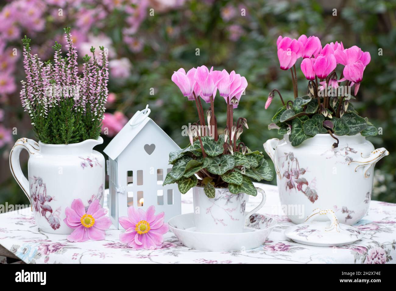 Romantische Gartendekoration mit rosa Cyclamen und Vintage Porzellan Stockfoto