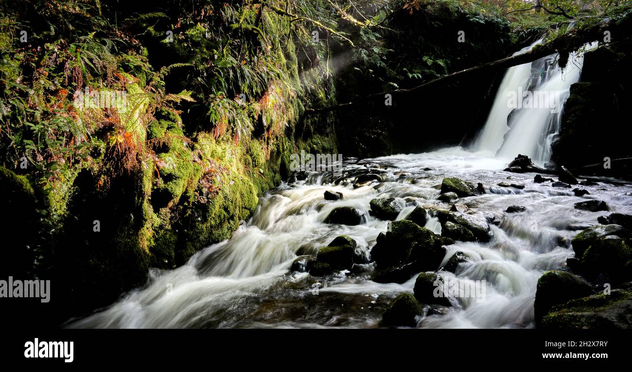 Doppelter Wasserfall am Venford Brook, einem Nebenfluss des River Dart am Dartmoor Devon UK Stockfoto