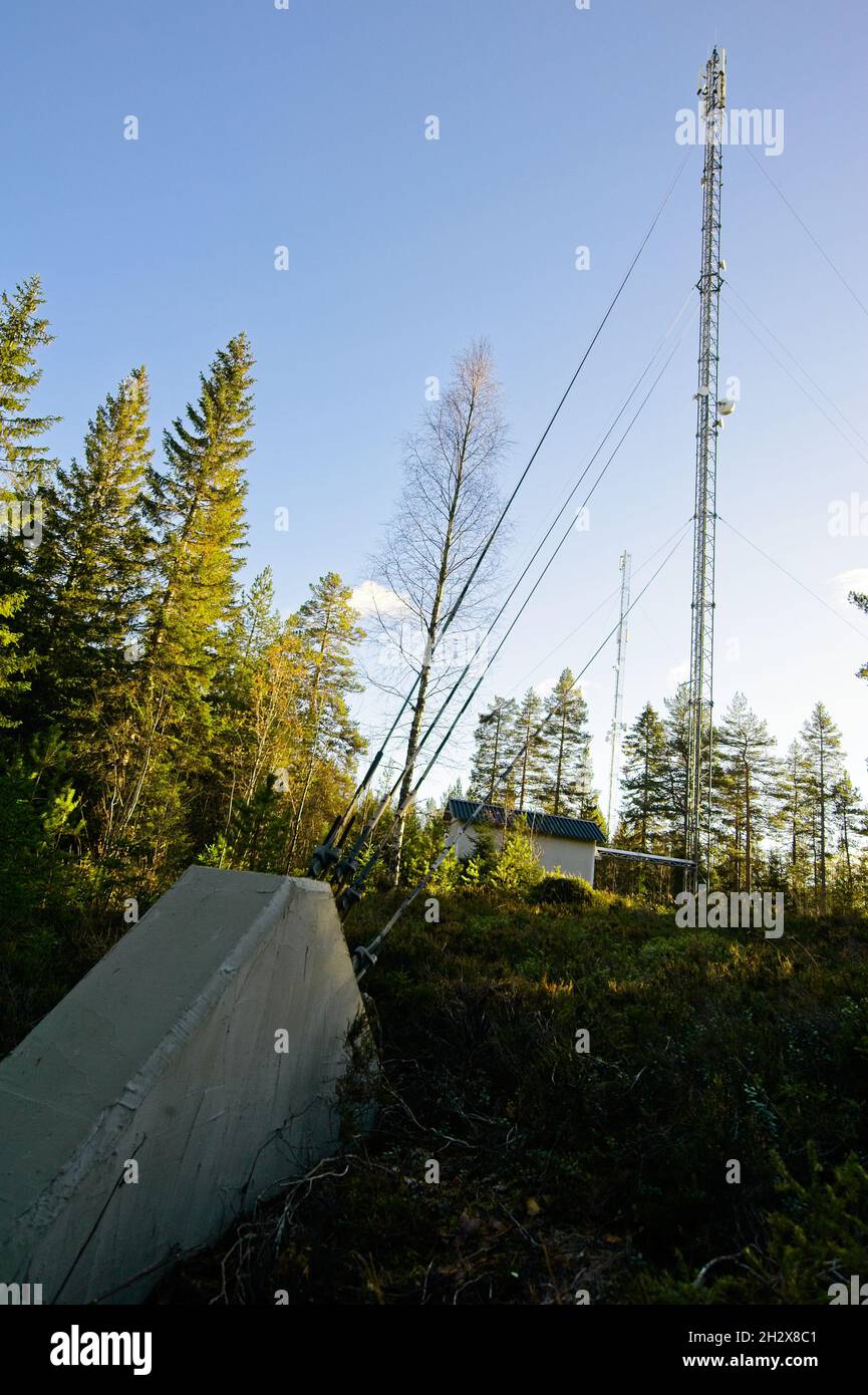 Handy-Mast auf einem Berg im Wald. Stockfoto