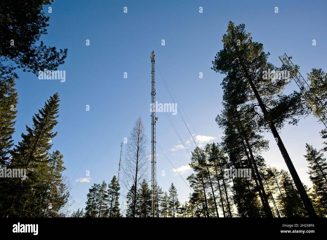 Handy-Mast auf einem Berg im Wald. Stockfoto