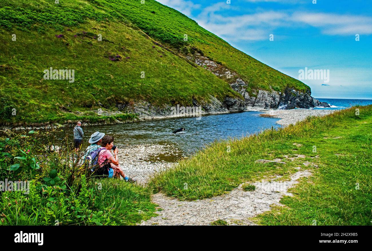 Blick auf Cwm Tydu Beach, Wales Stockfoto