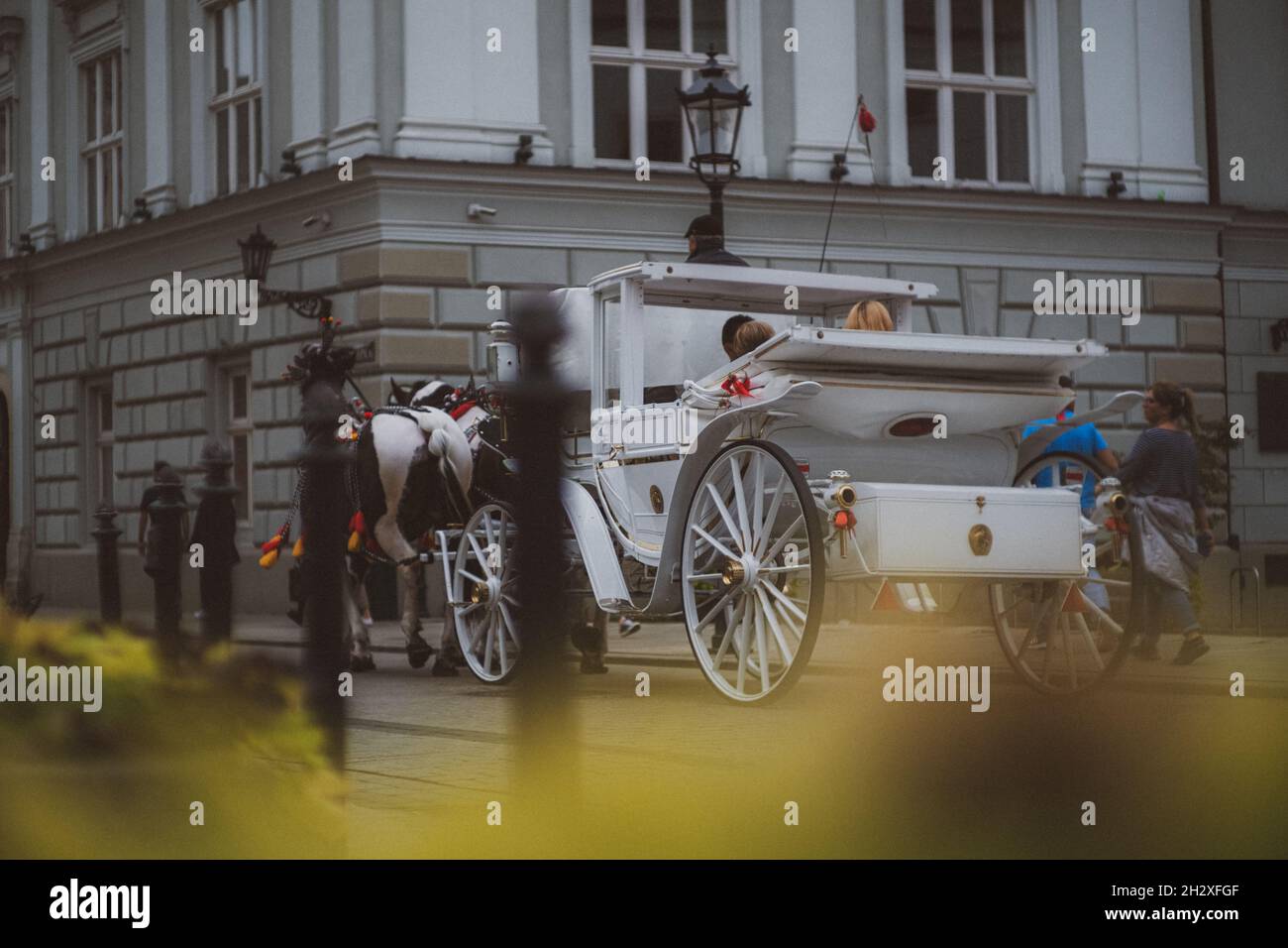 Krakau Polen September 2021 Rückansicht einer weißen Kutsche, die von zwei Pferden in polen gezogen wird. Romantische Fahrt durch die Stadt Stockfoto