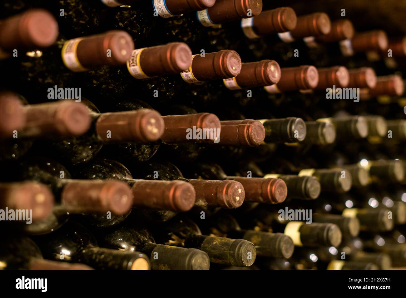 Nahaufnahme von Reihen staubiger Rotweinflaschen, die auf dem Regal in einem Keller auf einem Weingut in einem Konzept für Weinbau, Önologie und Weinproduktion in einem Re reifen Stockfoto
