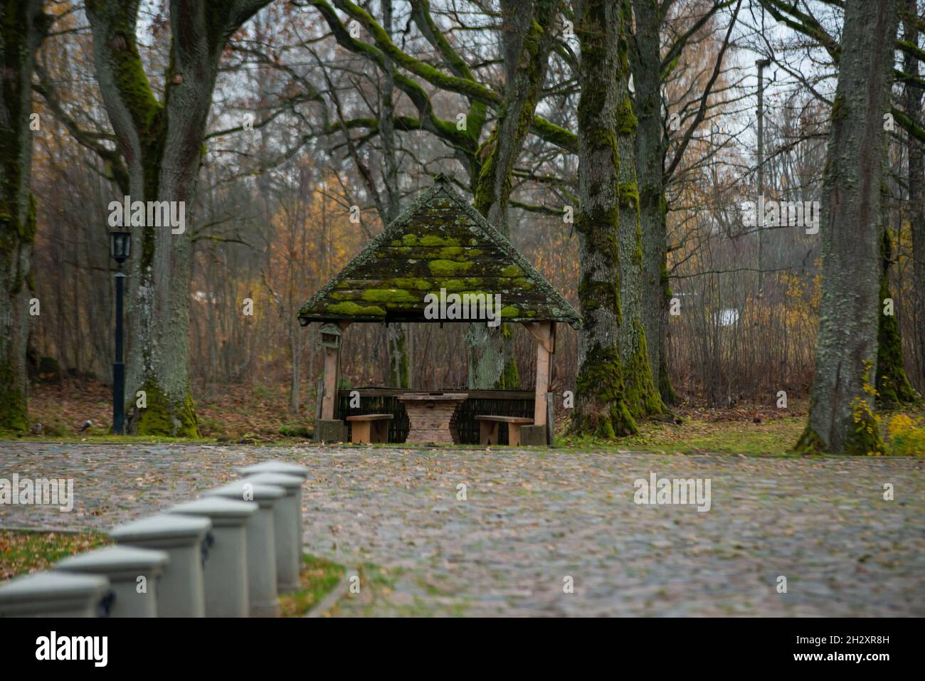 Alte hölzerne Gartenlaube mit einem mit grünem Moos bewachsenen Dach im Park mit einem gepflasterten Parkplatz unter alten Eichen an einem sonnigen Herbsttag Stockfoto