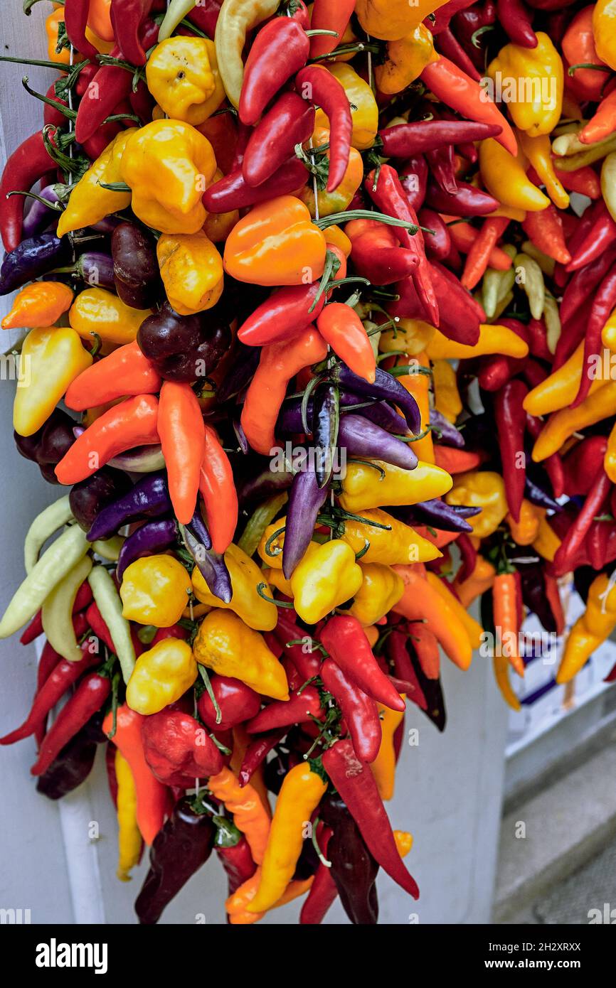 Ein Paket verschiedenfarbiger Paprika vor einem Delikatessengeschäft in  Palma de Mallorca Stockfotografie - Alamy