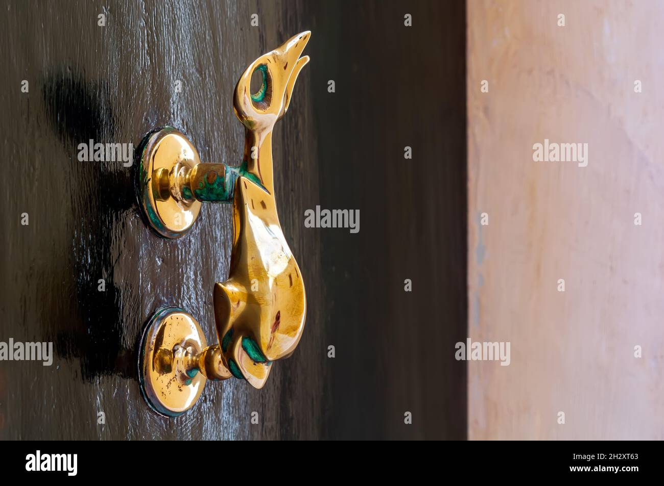 Nahaufnahme eines Vintage Knockers aus Messing als Delphin mit einem dreizackigen Schwanz an der schwarzen Holztür. Schwarze Tür mit Gussmessingbeschlägen mit Patina. Stockfoto