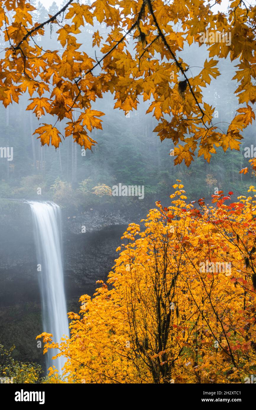 Farbenfrohe Herbstblätter umgeben die wunderschöne neblige Wasserfalllandschaft in Oregon, Pazifischer Nordwesten der Vereinigten Staaten Stockfoto