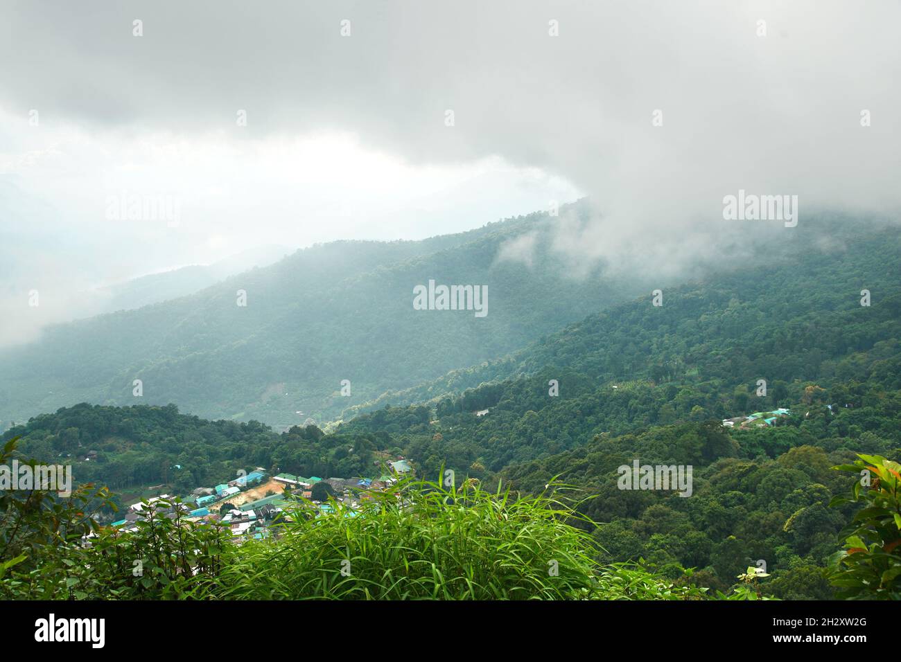 Nebel auf dem Berg Doi Suthep in chiang Mai, Thailand Stockfoto
