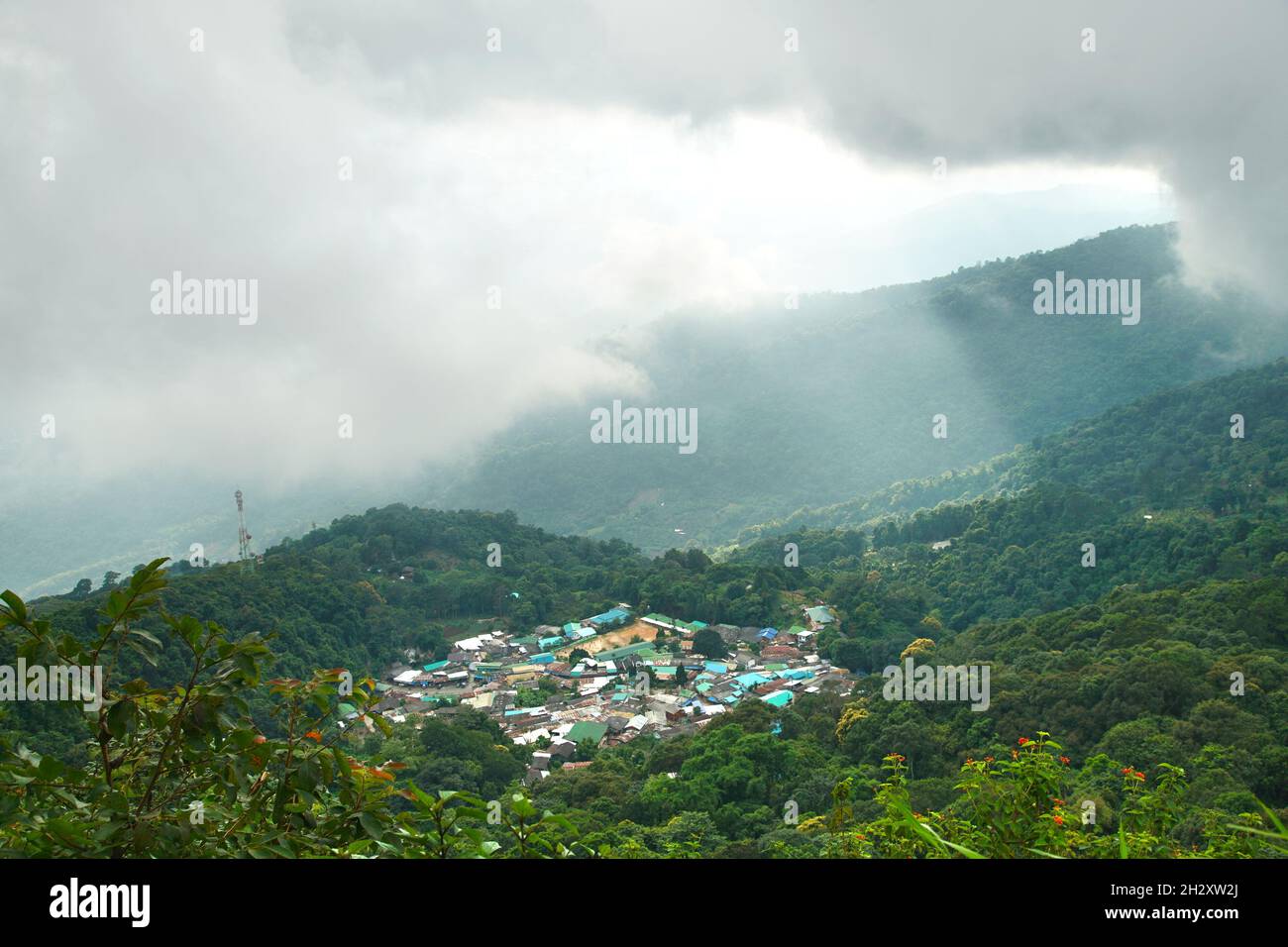 Nebel auf dem Berg Doi Suthep in chiang Mai, Thailand Stockfoto