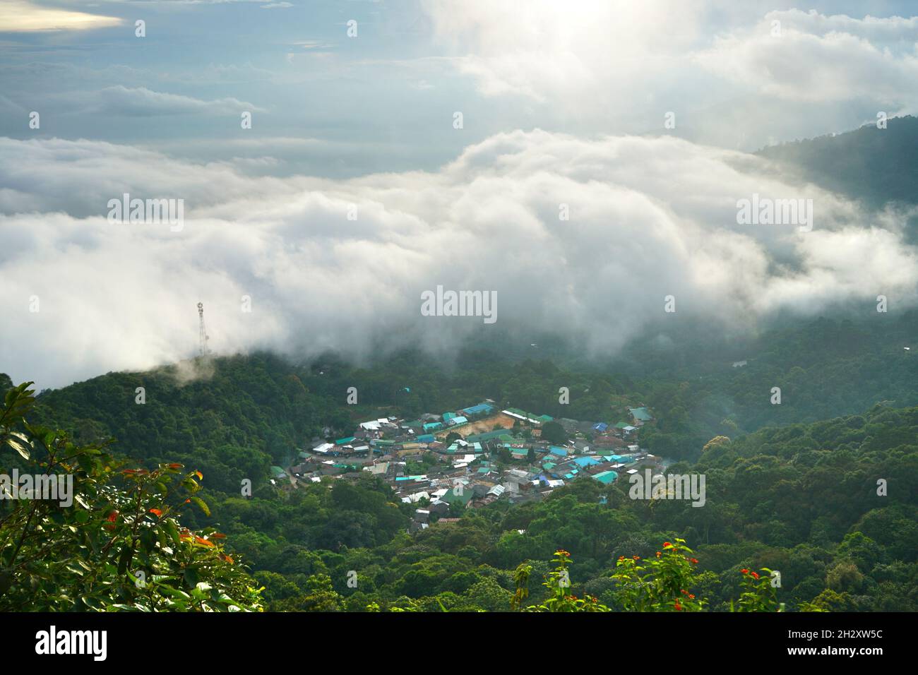 Nebel auf dem Berg Doi Suthep in chiang Mai, Thailand Stockfoto