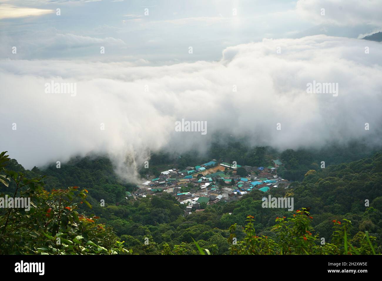 Nebel auf dem Berg Doi Suthep in chiang Mai, Thailand Stockfoto
