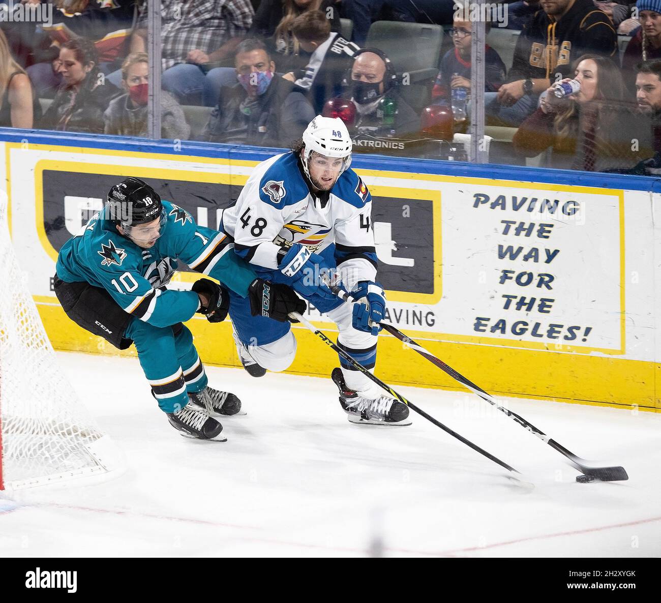 Loveland, Colorado, USA. Oktober 2021. Colorado Eagles D DENNIS GILBERT, rechts, kämpft mit Barracudas RW NICK MERKLEY, links, während des 2. Zeitraum Samstag Nacht im Budweiser Veranstaltungszentrum. Die Adler verlieren gegen die Barracudas 3-2. (Bild: © Hector Acevedo/ZUMA Press Wire) Stockfoto