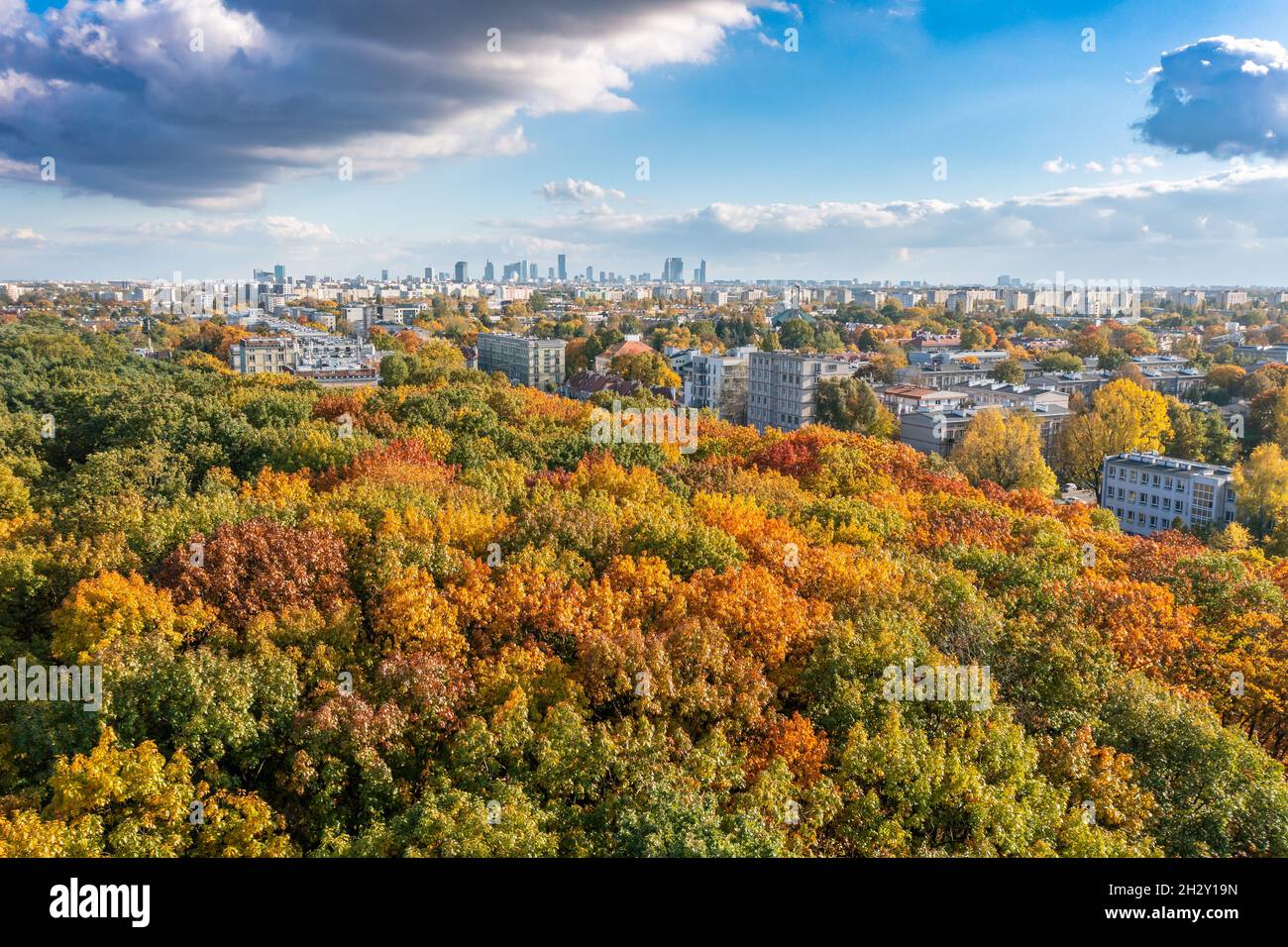 Herbst in Warschau, farbenprächtiger Wald und Fernansicht des Stadtzentrums Stockfoto
