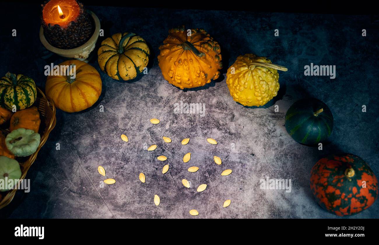 Schöne Zusammensetzung von bunten Herbstgemüse in der Erntezeit. Kürbis, Zucchini, Rüben und Samen. Stockfoto