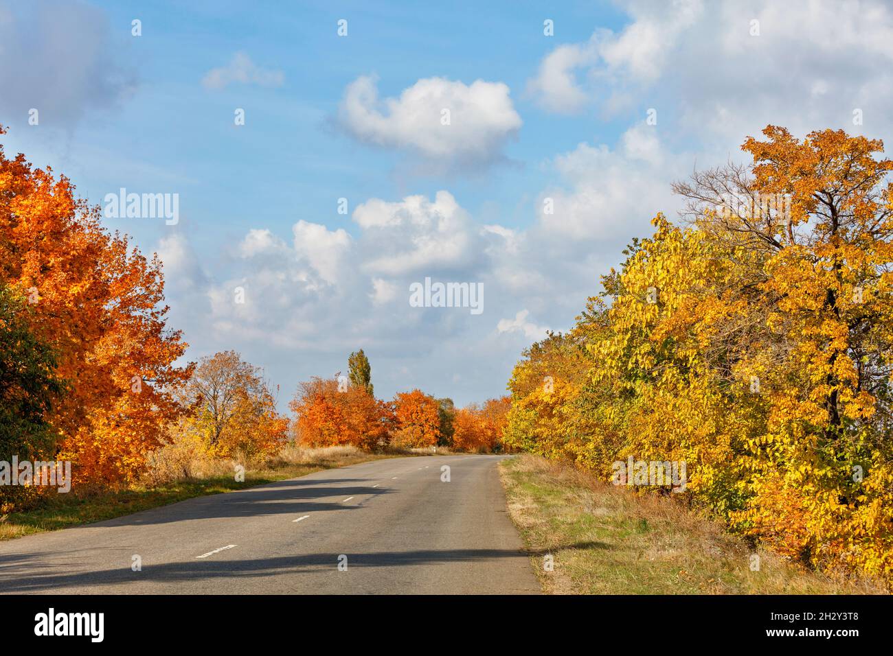 Goldene Herbstblätter von Bäumen am Straßenrand umrahmen eine alte asphaltierte Straße unter einem blau bewölkten Himmel. Die Schönheit des Herbstes. Fokus auf den Vordergrund. Speicherplatz kopieren. Stockfoto