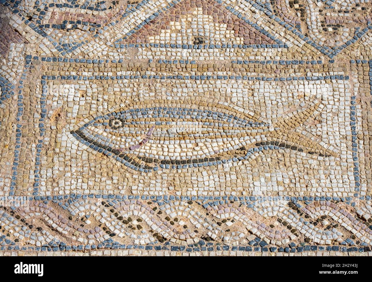 Fisch Römisches Bodenmosaik im Haus Eustolius, Kourion, Republik Zypern Stockfoto