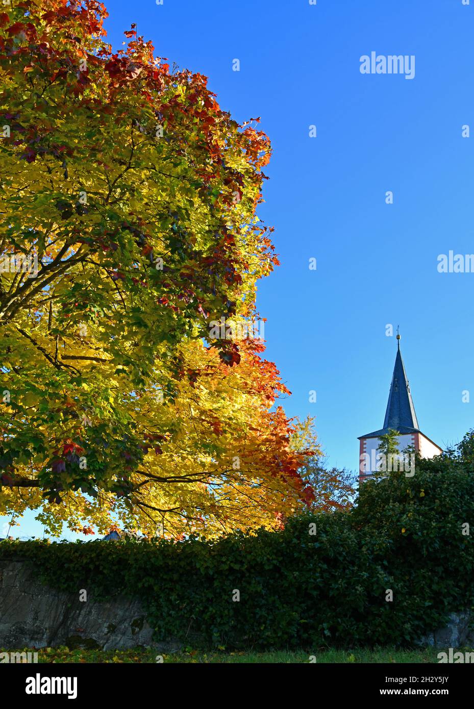 Farbenfrohe Laubbäume vor einer Kirche Stockfoto