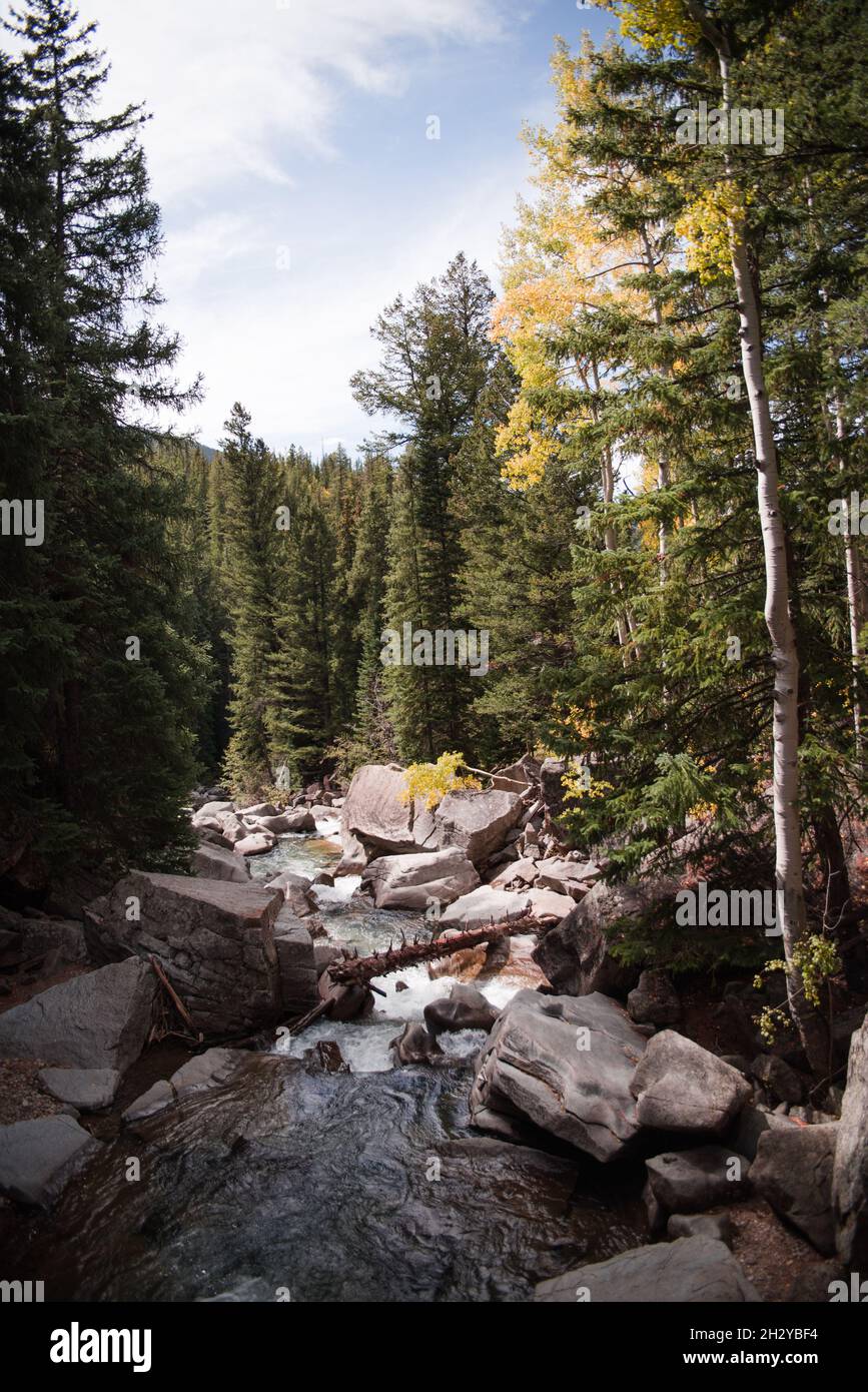 Ein Bach in der Nähe von Aspen, Colorado. Stockfoto