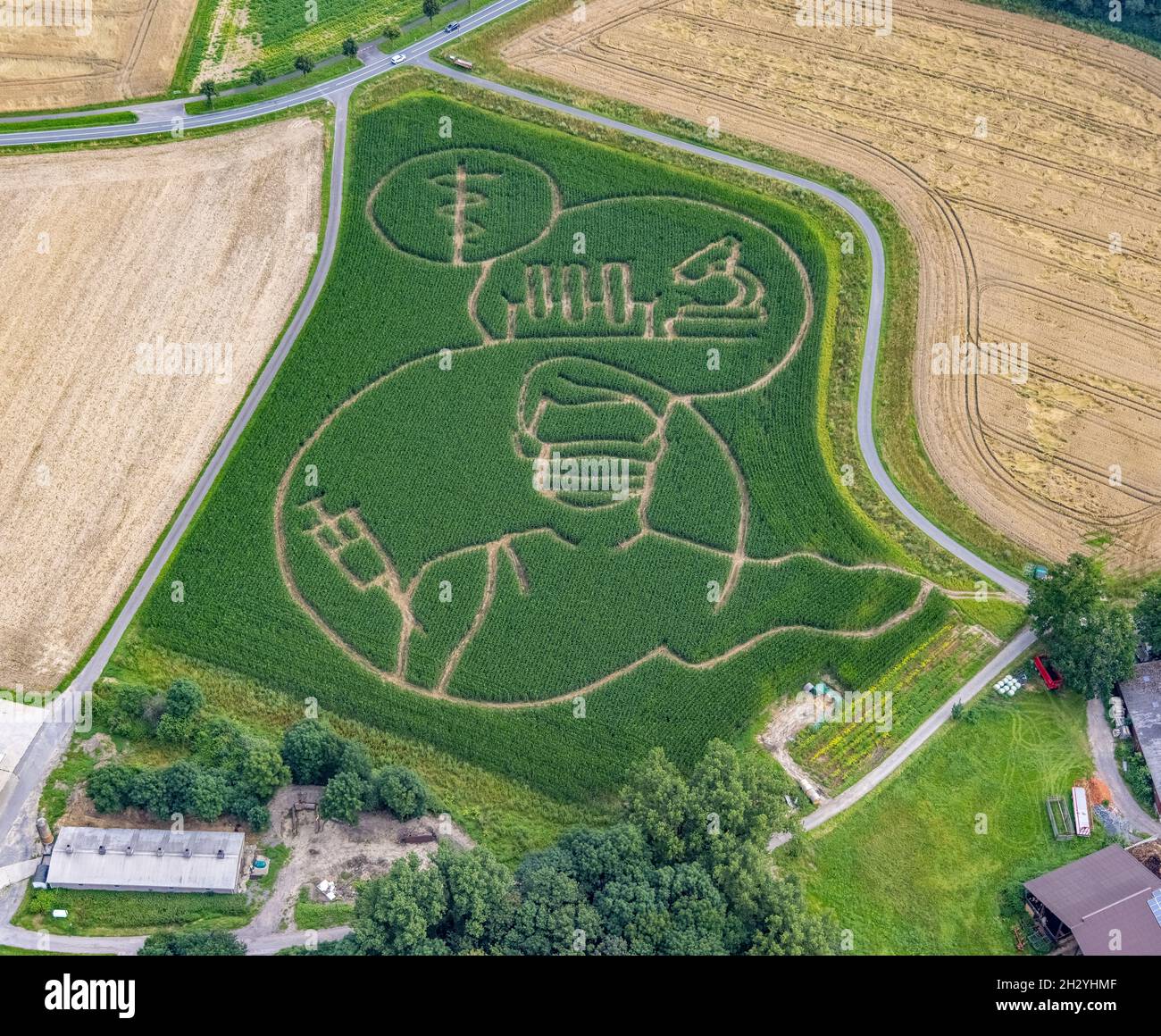 Benedikt Lünemann zaubert jedes Jahr ein Maislabyrinth auf seinem Feld. Meist sind die Motive gesellschaftskritisch oder politisch. Dieses Jahr ist es eine Person wi Stockfoto