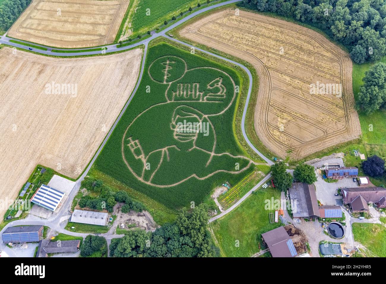Benedikt Lünemann zaubert jedes Jahr ein Maislabyrinth auf seinem Feld. Meist sind die Motive gesellschaftskritisch oder politisch. Dieses Jahr ist es eine Person wi Stockfoto