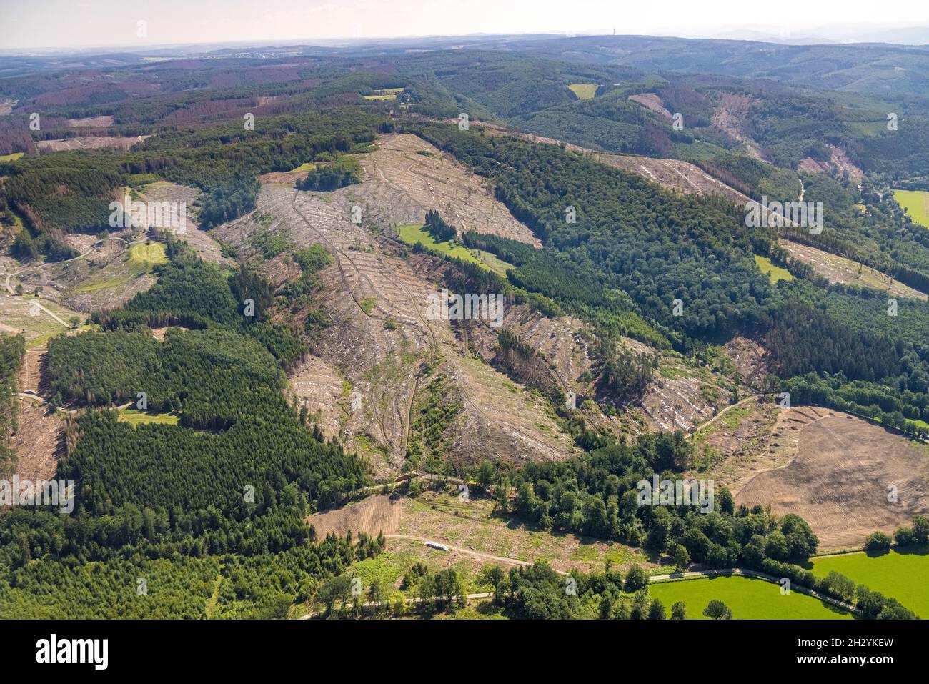 Luftaufnahme, Arnsberger Wald, Waldgebiet mit Waldschäden in Glösingen, Oeventrop, Arnsberg, Sauerland, Nordrhein-Westfalen, Deutschland, Baumdieba Stockfoto