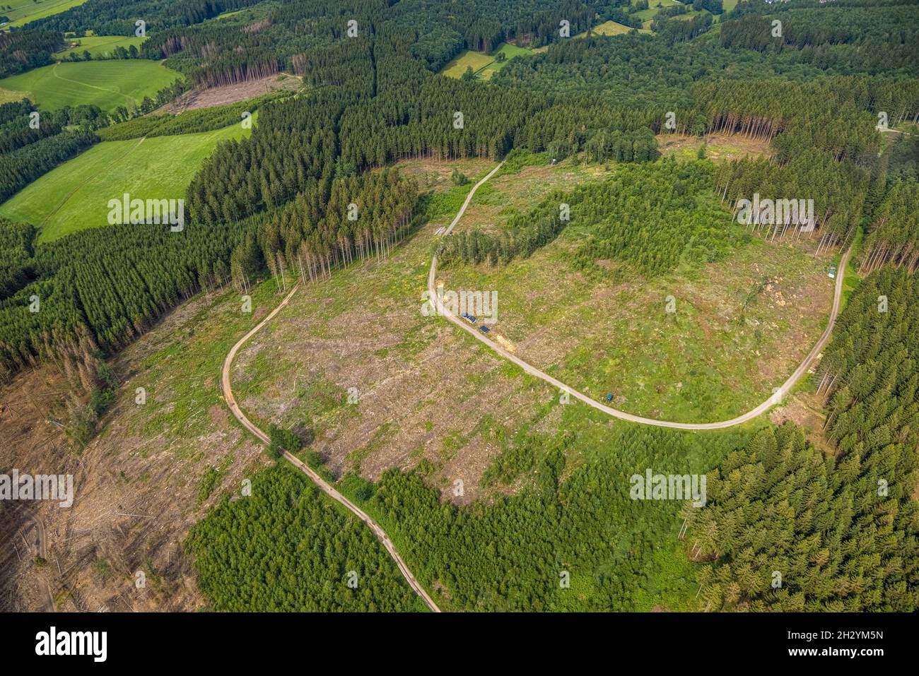 Luftaufnahme, Waldgebiet mit Waldschäden bei Iseringhausen und Brachtpe, Drolshagen, Sauerland, Nordrhein-Westfalen, Deutschland, Baumtod, Stockfoto