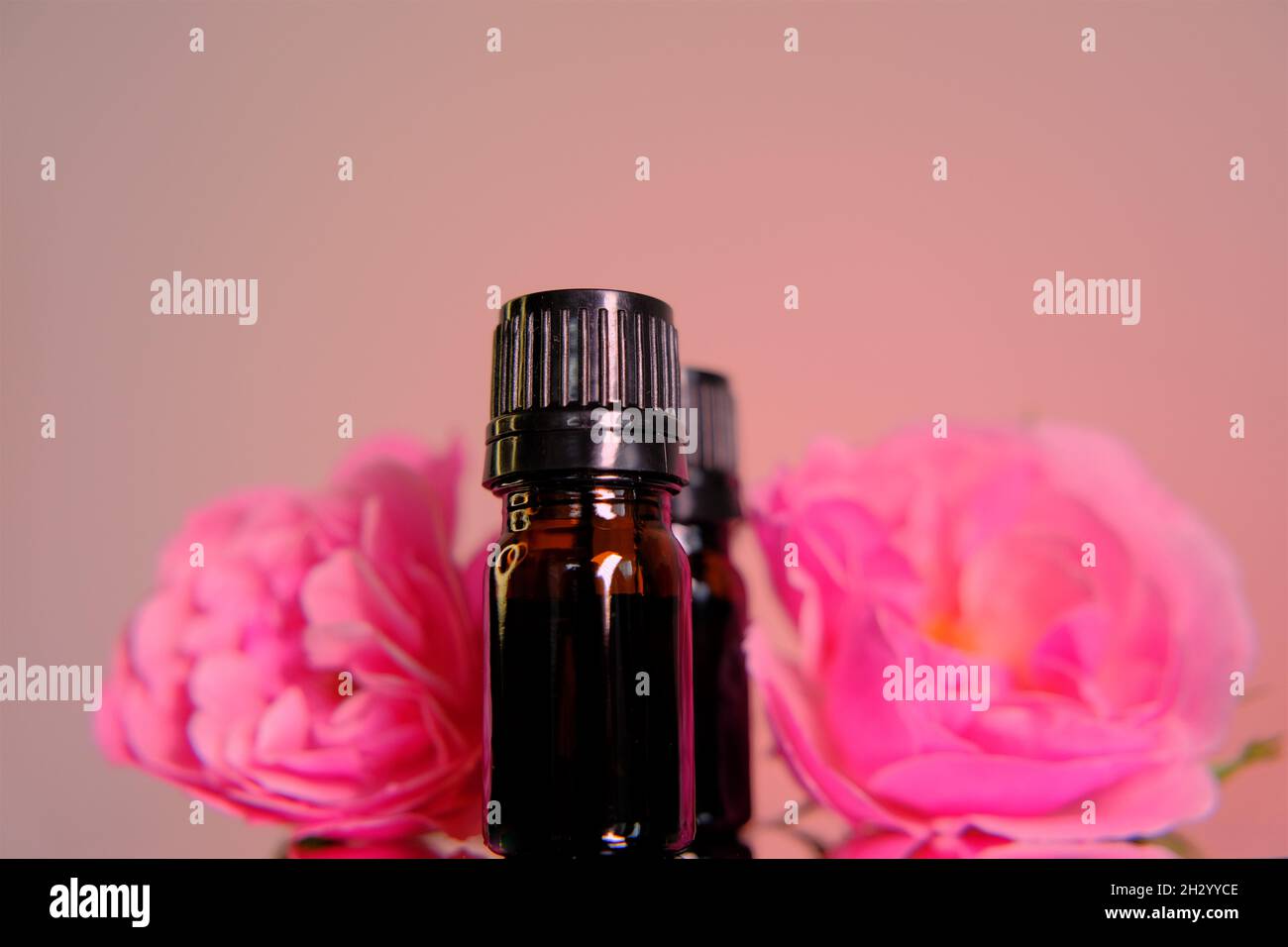 Ätherisches Rosenöl.Aromatherapie- und Kosmetikkonzept. Set aus braunen Glasflaschen und rosa Rosenblüten auf rosa Hintergrund. Stockfoto