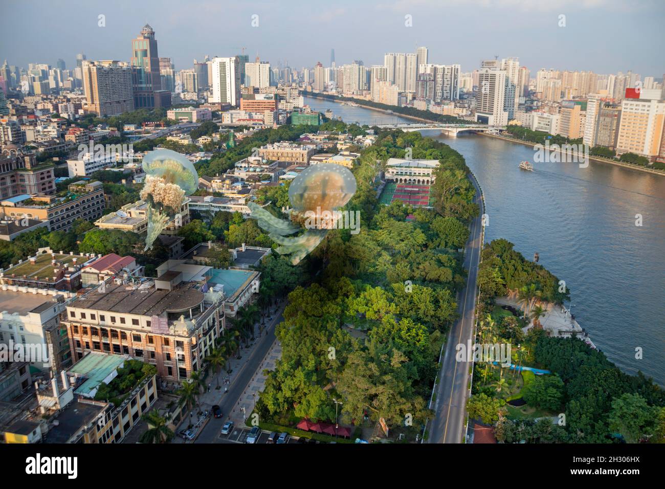 Digital hinzugefügte Quallen schweben über der Stadt Guangzhou und dem Fluss Zhujiang in China. Stockfoto