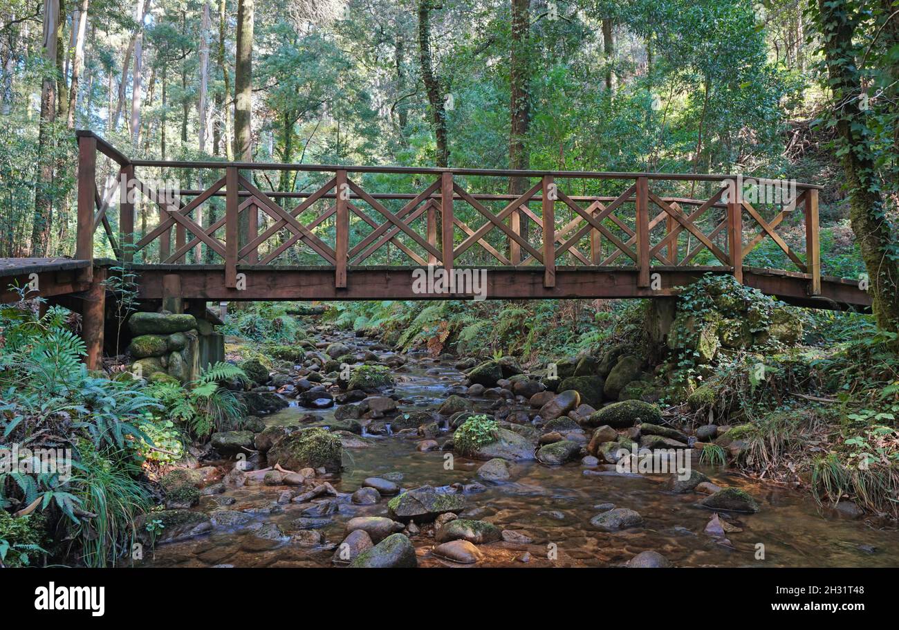 Eine Holzbrücke über einen kleinen Fluss im Wald, Rio De La Fraga, Spanien, Galizien, Provinz Pontevedra Stockfoto