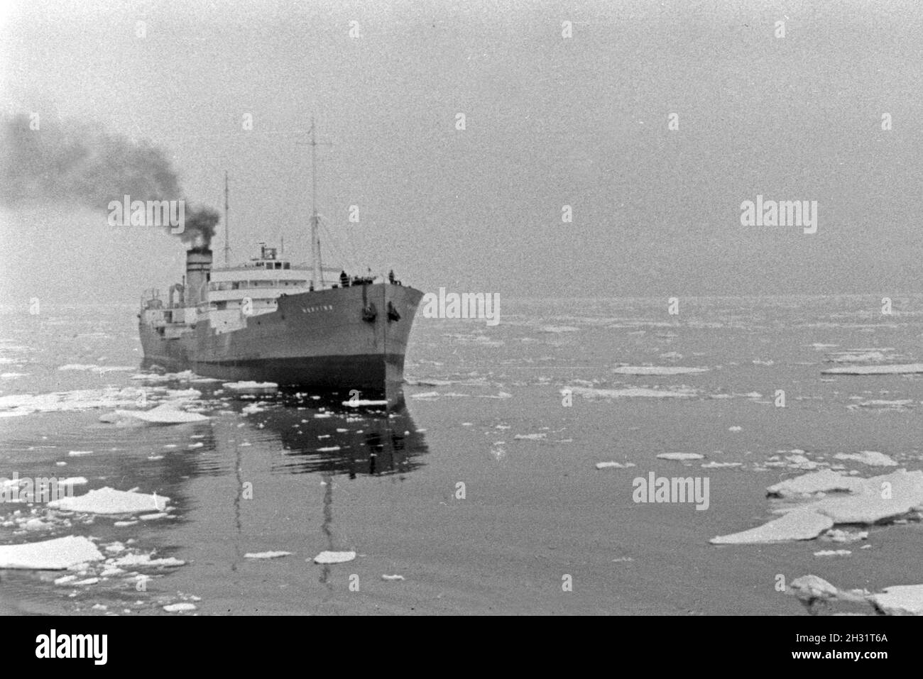 Mein Schiff der deutschen Walfangflotte im Eismeer in der Arktis, 1930er Jahre. Ein Schiff der Deutschen Walfangflotte im Arktischen Meer, 1930er Jahre. Stockfoto