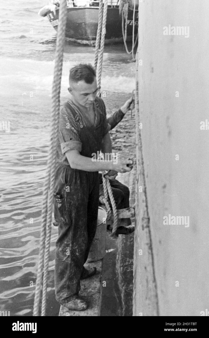 Die Männer des Fabrikschiffs "Jan Wellem" beim Reinigen der Bordwand, 1930er Jahre. Die Crew der Fabrik Schiff "Jan Wellem" Reinigung Das Schiff Wand, 1930er Jahre. Stockfoto