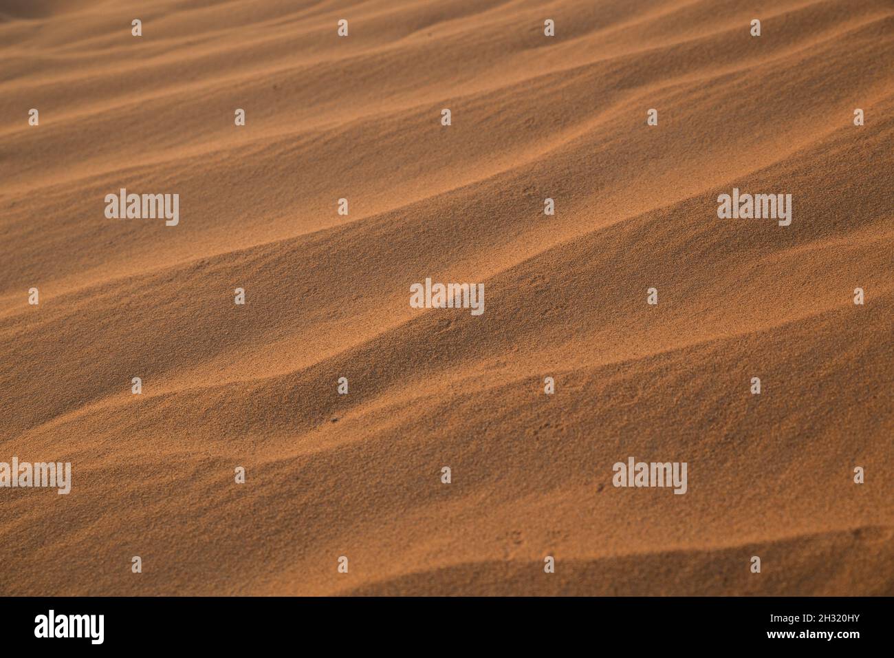 Sandstruktur der Sahara-Wüste Stockfoto
