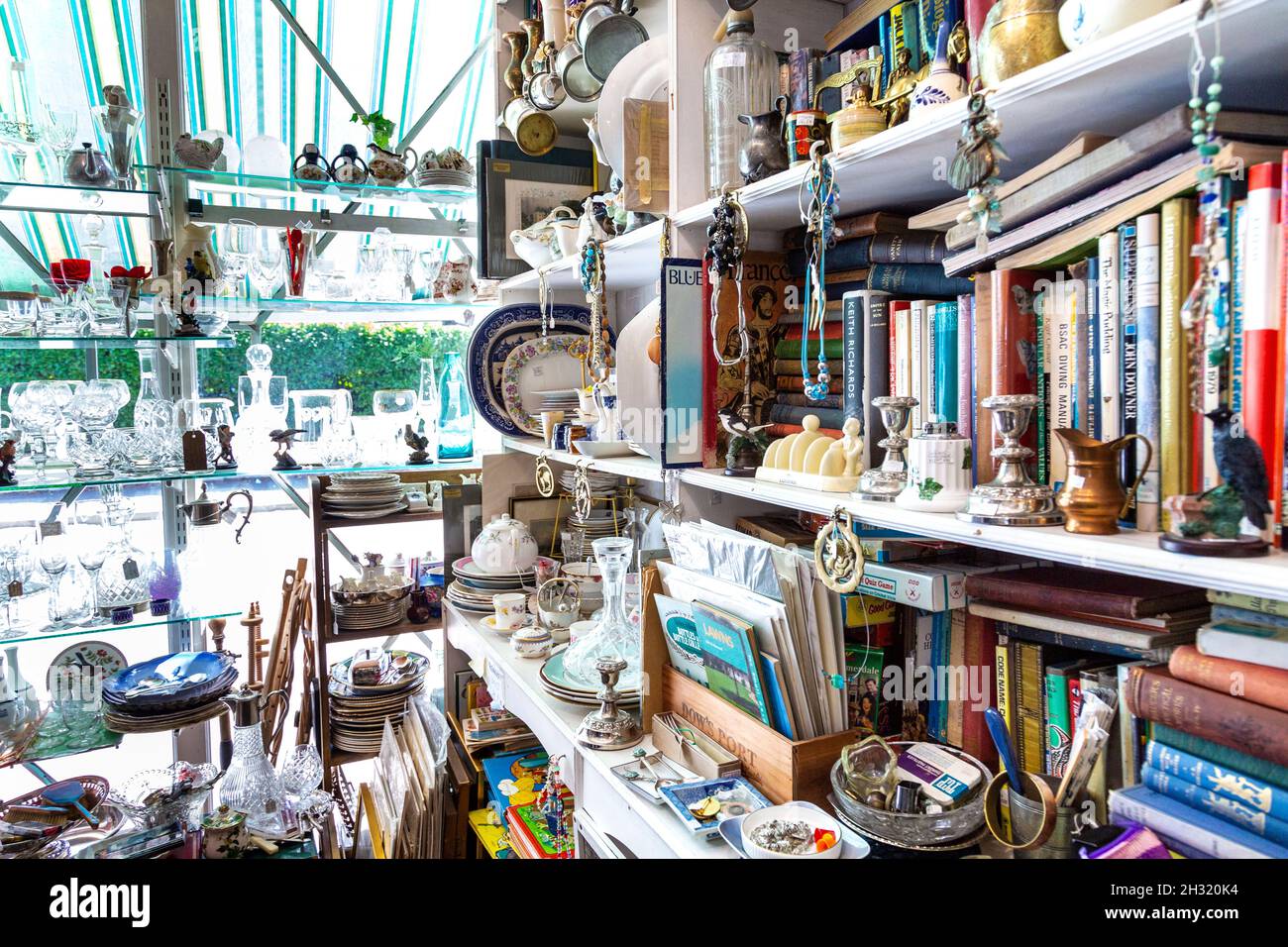 Ausstellung von Glaswaren, Büchern und Geschirr in einem Antiquitätengeschäft (Hampton Court Emporium, East Molesey, UK) Stockfoto