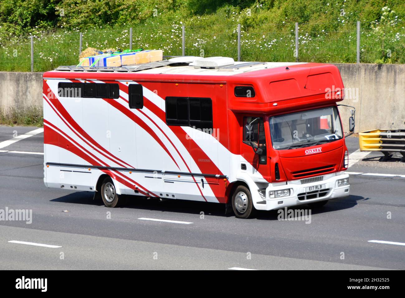 Seiten- und Vorderansicht rot-weißer Oakley Supreme-Fahrer im Führerhaus eines Pferdekutschen-LKW-Tiertransportes mit Dach-Futter auf der britischen Autobahn Stockfoto