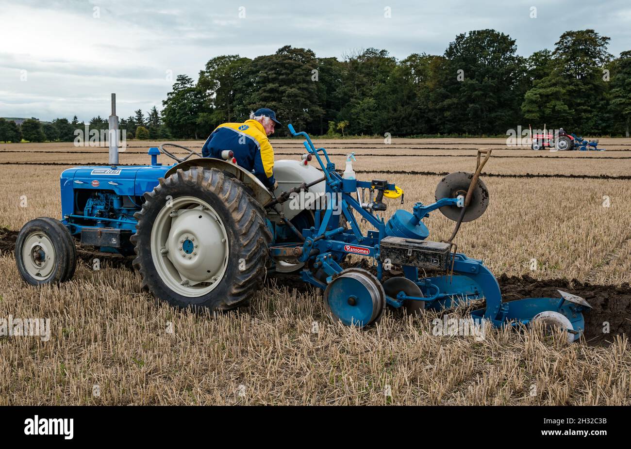 Mann, der im Dreitagebart-Feld, East Lothian, Schottland, Großbritannien, einen Vintage-Fordson Dexta-Traktor fährt Stockfoto