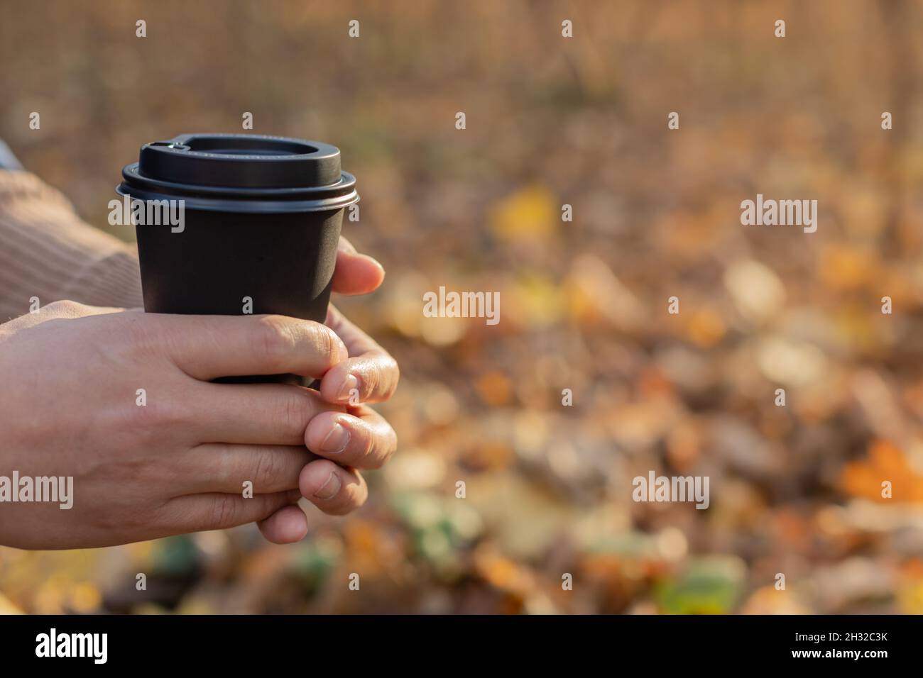 Im Herbst hält ein Mann einen Einweg-Papierbecher mit einem Getränk im Park. Das Konzept der Getränke, Tee, Kaffee, Herbst, Aufwärmen, Ruhe. Stockfoto