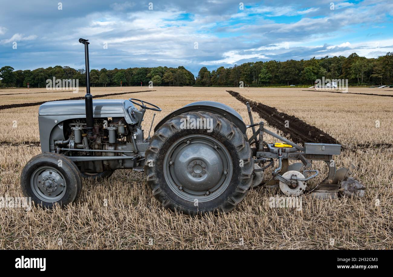 Oldtimer-Traktor und Furchen im Pflügen passen auf dem Stoppelfeld, East Lothian, Schottland, Großbritannien Stockfoto