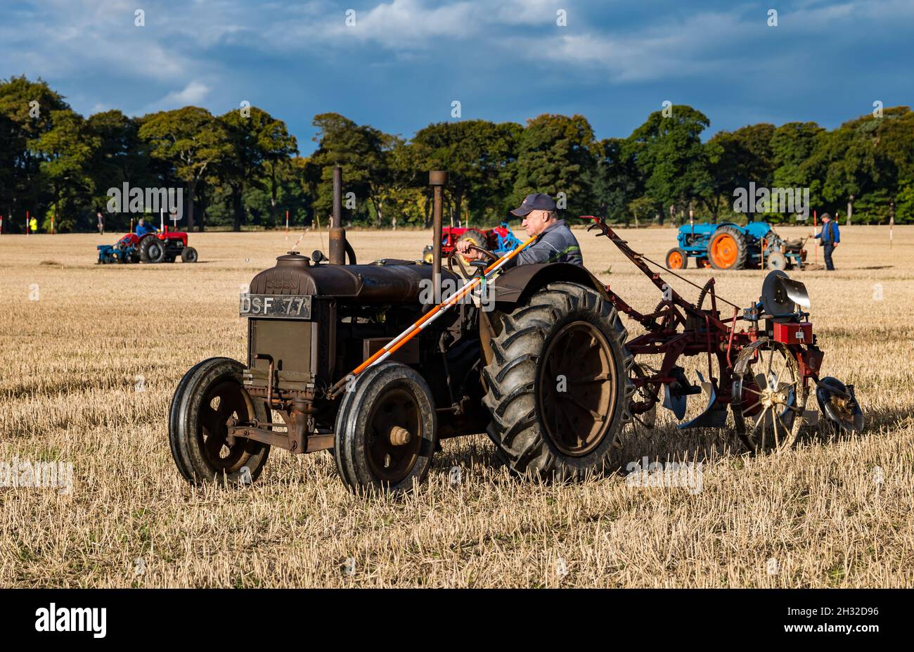 Mann, der einen alten Fordson-Traktor im Pflügespiel auf dem Stoppelfeld, East Lothian, Schottland, Großbritannien, fährt Stockfoto